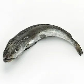 Merluza de pincho peso aproximado pieza 1 2 kg
